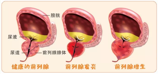 搜狗截图21年04月12日1657_6.png