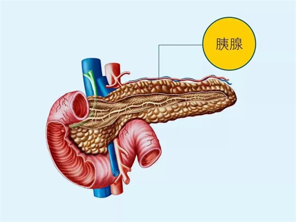 【世界胰腺癌日】关注胰腺癌，让爱看得见